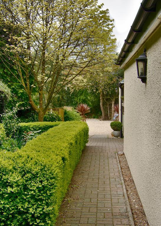Tumbling Weir Hotel Ottery St Mary